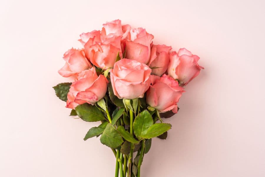 A bouquet of pink roses arranged against a light background.