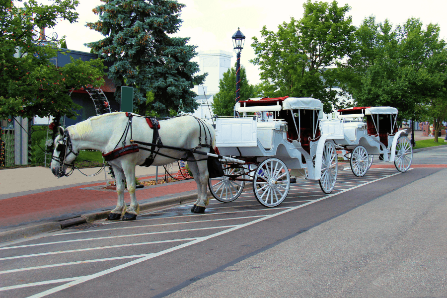 A white horse is hitched to an elegant carriage parked on a tree-lined street.